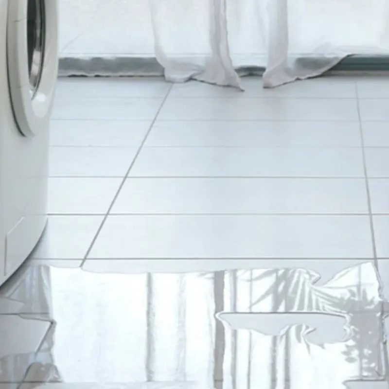 Appliance Leak Cleanup in Annandale, VA