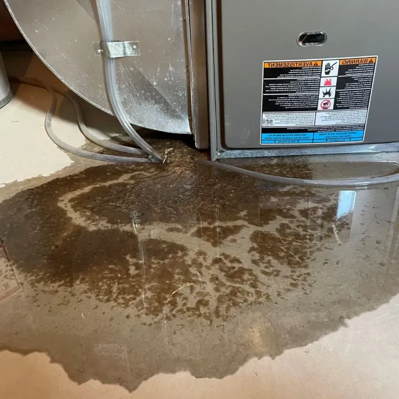 Pipe Burst and Leak Restoration in Annandale, VA